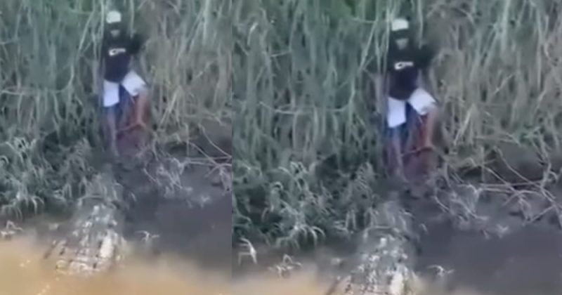 Biólogo desmistifica a história por trás de um famoso vídeo de um crocodilo tentando devorar um homem encurralado em um barranco de lama