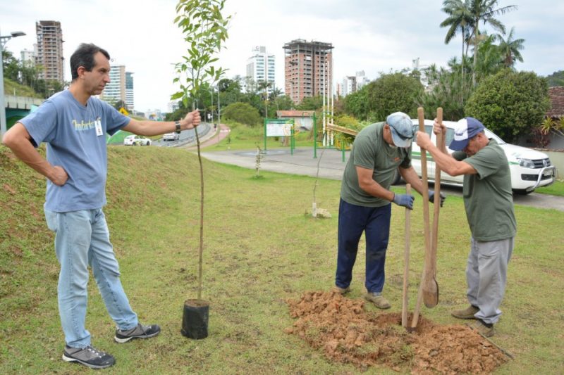 As plantações de árvores fazem parte do plano de sustentabilidade anunciado durante o lançamento da Oktoberfest 