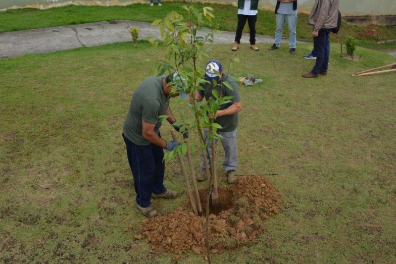 As plantações de árvores fazem parte do plano de sustentabilidade anunciado durante o lançamento da Oktoberfest 