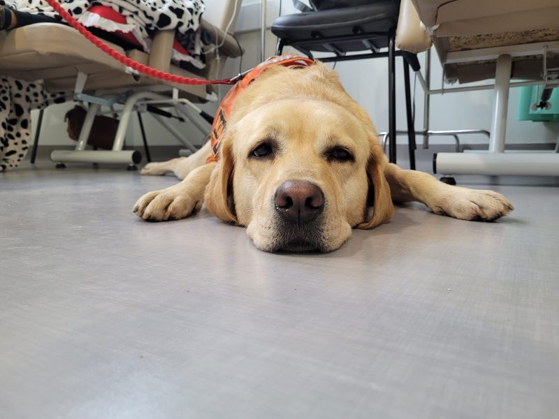 Moana faz visitas a pacientes oncol&oacute;gicos do Unacon – Foto: HMMKB/Reprodu&ccedil;&atilde;o/ND