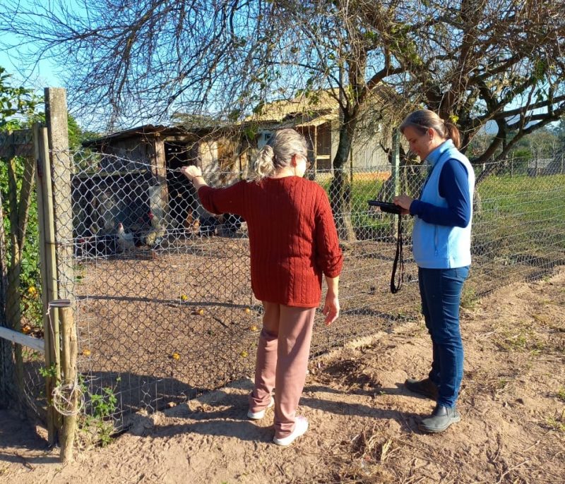 Cidasc fez varredura no Sul de SC após caso de gripe aviária
