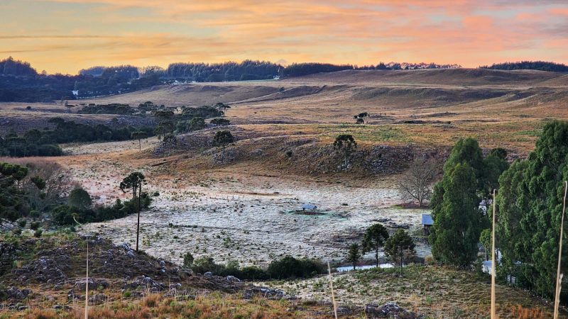 Clima deve favorecer aparecimento de geada no planalto sul catarinense – Foto: Mycchel Legnaghi/Divulga&ccedil;&atilde;o/ND