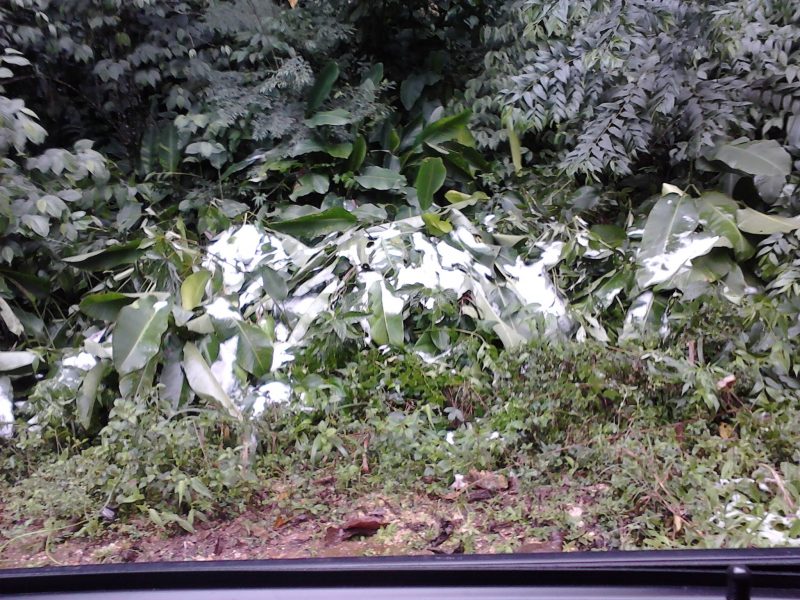 Neve em Itajaí em 2013