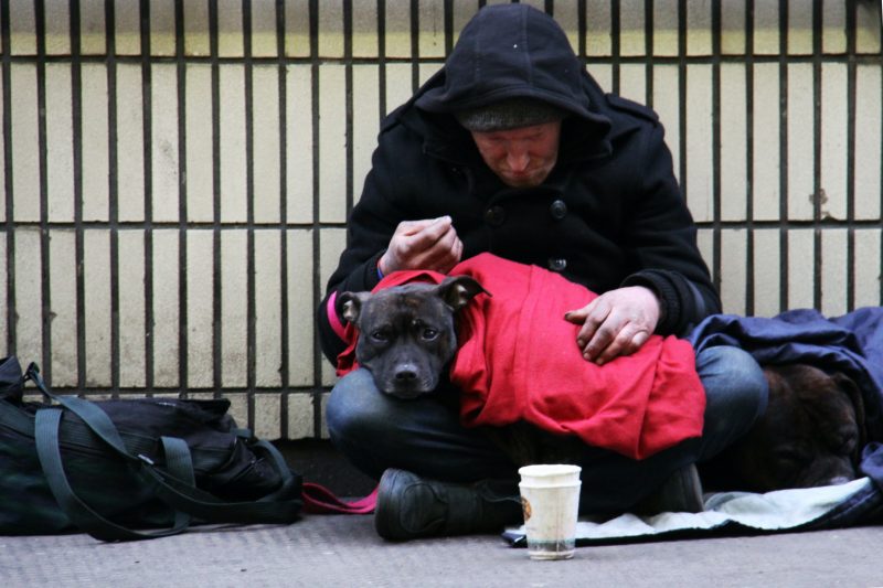 Homem em situação de rua com cachorro