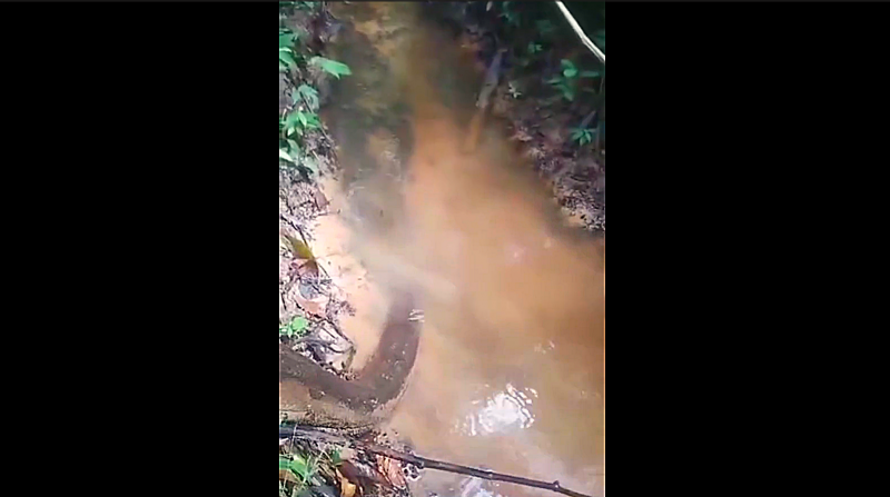 O pescador mostrou que tem consci&ecirc;ncia ambiental e respeito pela natureza ao deixar a sucuri ir embora – Foto: Reprodu&ccedil;&atilde;o/ND