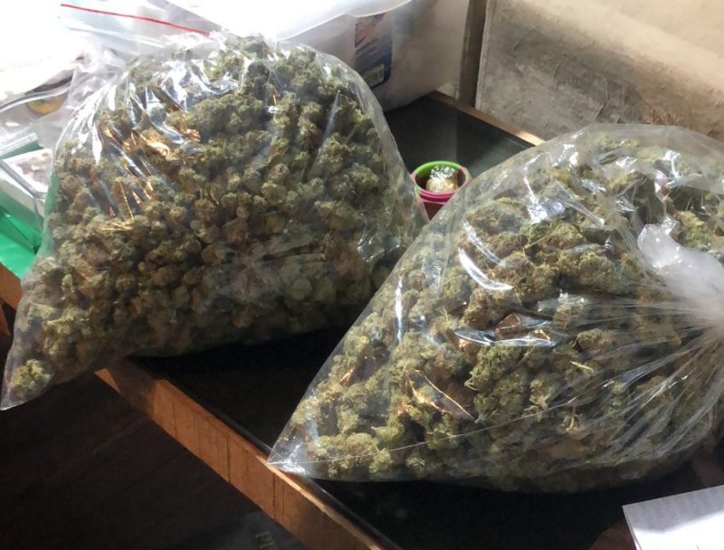 Opera&ccedil;&atilde;o mira organiza&ccedil;&atilde;o criminosa respons&aacute;vel por tr&aacute;fico de drogas na Grande Florian&oacute;polis – Foto: PCSC/Divulga&ccedil;&atilde;o/ND