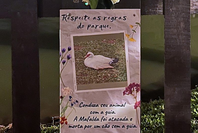 Uma placa de sinalização usa o exemplo da Mafalda para alertar os usuários do parque sobre os cuidados com os patos do Ecoparque