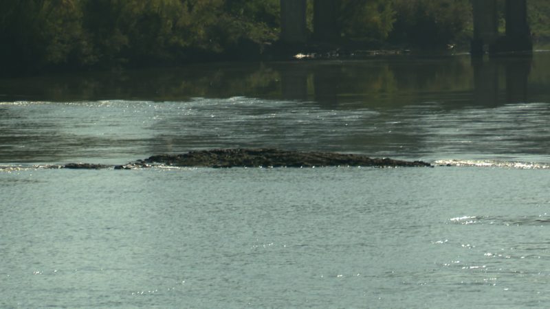 Pedra da fome no rio Itaja&iacute;-a&ccedil;u, no dia 5 de julho – Foto: Reprodu&ccedil;&atilde;o/NDTV