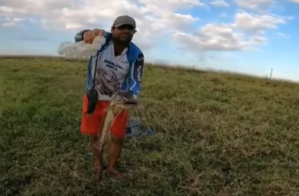 Bagre é encontrado com rato dentro do corpo