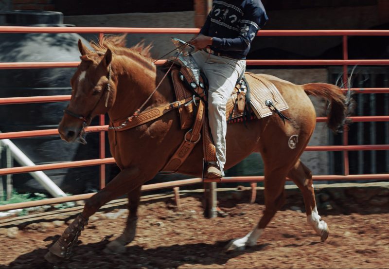 Arbitro que matou competidor em prova de laço é condenado a 14 anos de prisão