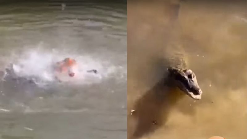 Cabeça de boi foi jogada em rio para atrair piranhas