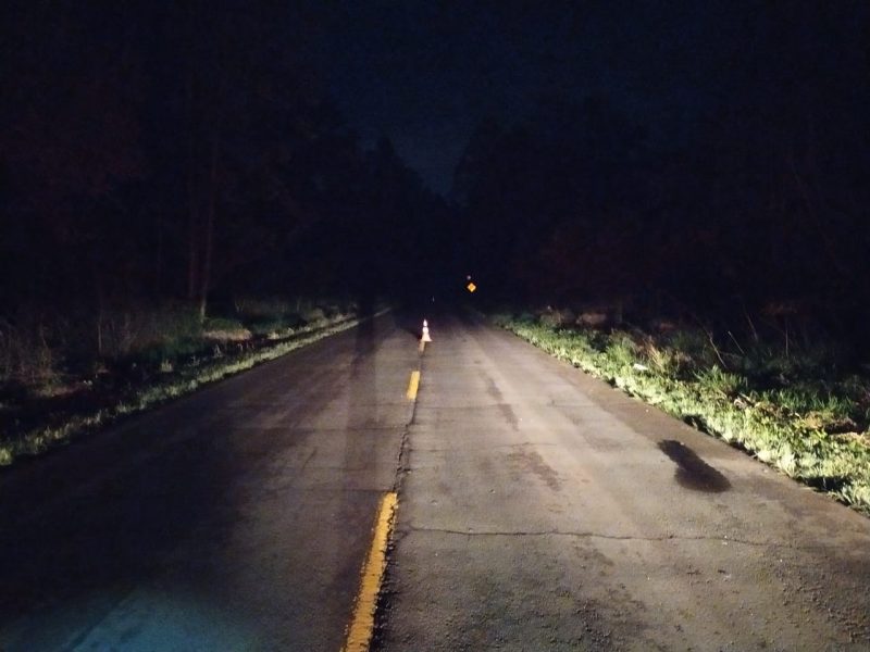 O pedestre morreu ainda no local. 