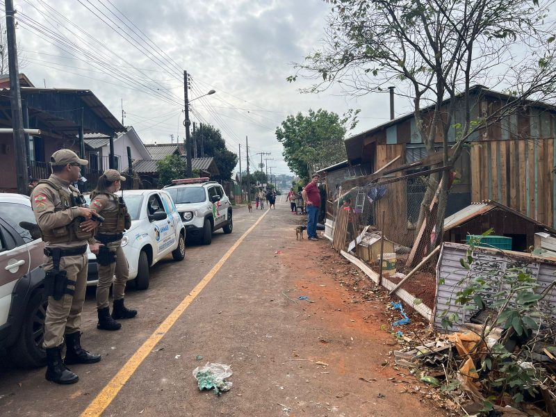 cães foram resgatados de um bairro em Xaxim