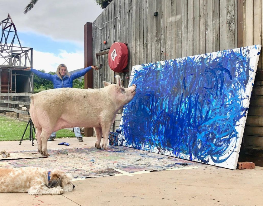 Porco 'Pigcasso' fatura quase R$ 5 milhões com a venda de obras de arte - Instagram/Reprodução/ND