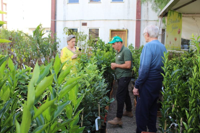 Feira segue at&eacute; o domingo (9). – Foto: Prefeitura de Chapec&oacute;/Divulga&ccedil;&atilde;o/ND
