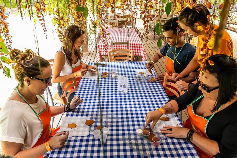 Em datas espec&iacute;ficas, &eacute; poss&iacute;vel fazer piqueniques na propriedade da &aacute;rea rural de Joinville e at&eacute; pintura de bolachas – Foto: MTur/Divulga&ccedil;&atilde;o