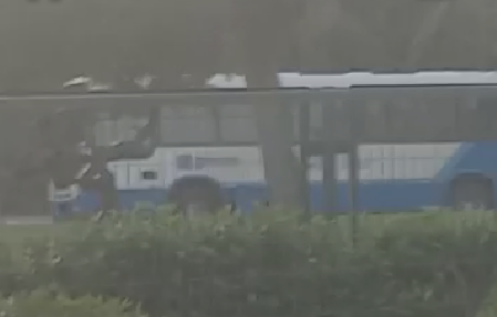 Homem morre após colidir lateralmente com ônibus do transporte público em Florianópolis - Foto: Reprodução/ND