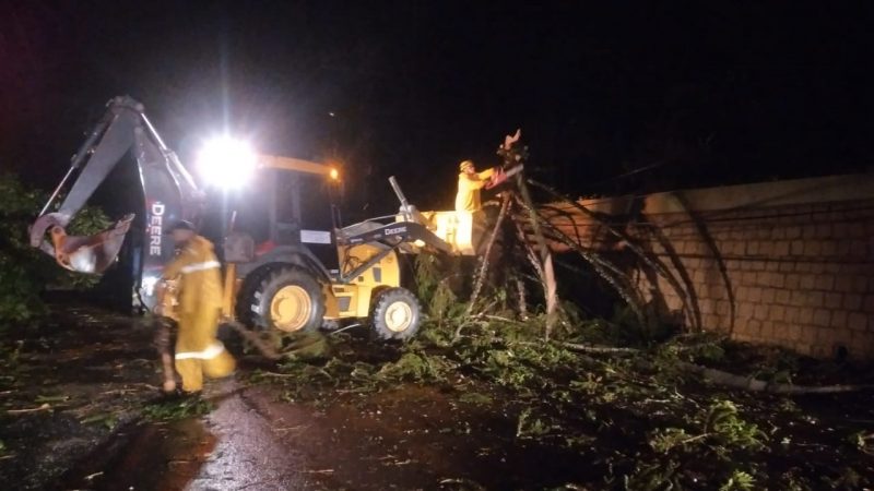 Em Trombudo Central, vento derrubou &aacute;rvores nesta quarta-feira (12) – Foto: Corpo de Bombeiros/Divulga&ccedil;&atilde;o/ND