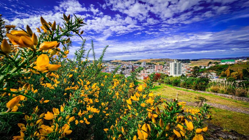 Foto: Prefeitura de S&atilde;o Joaquim/Divulga&ccedil;&atilde;o