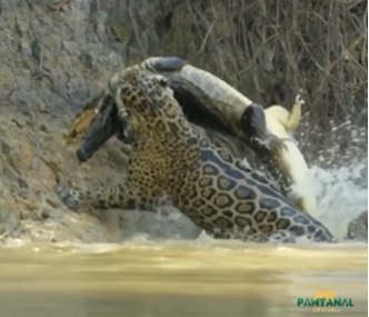 Elenco de 'Pantanal' compartilha histórias de perrengues nas gravações:  onça à noite, jacaré no rio, xixi atrás do carro - TV e Lazer - Extra  Online