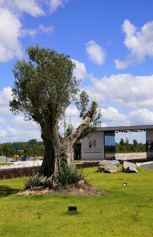 Complexo multissetorial Navepark foi inaugurado neste ano – Foto: Divulga&ccedil;&atilde;o/ND