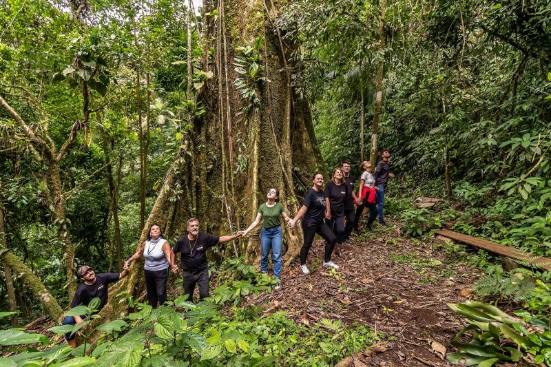 Trilha ecol&oacute;gica &eacute; um dos atrativos do S&iacute;tio da V&oacute; Bia, no roteiro Caminhos de Dona Francisca – Foto: Mtur/Divulga&ccedil;&atilde;o
