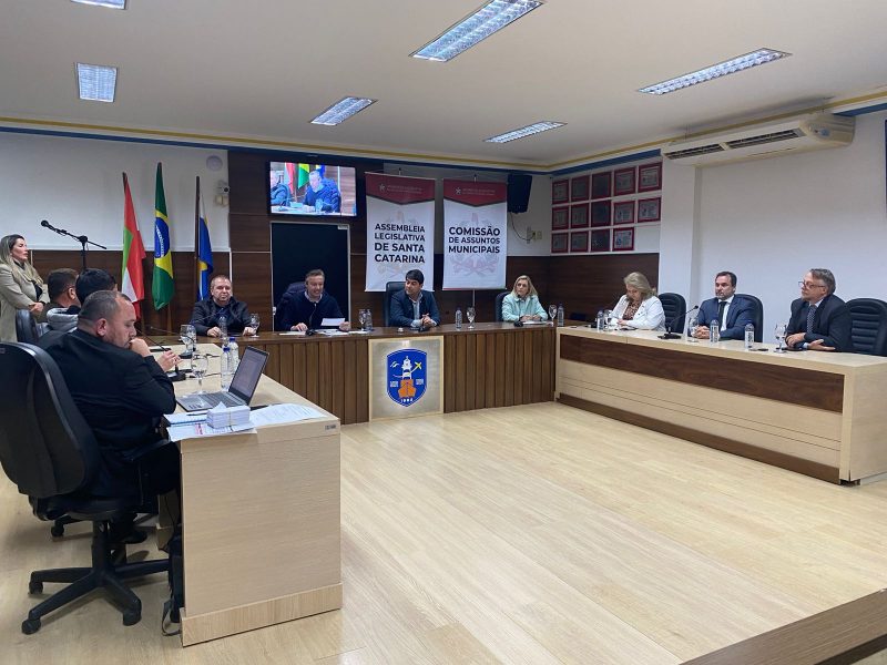 Audi&ecirc;ncia p&uacute;blica aconteceu nesta segunda-feira – Foto: Pedro Mariano/NDTV/Reprodu&ccedil;&atilde;o