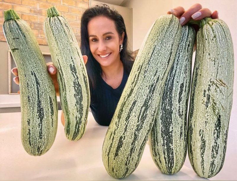 Moradora de Itaja&iacute; compartilha dia a dia da colheita nas redes sociais – Foto: Reprodu&ccedil;&atilde;o/Internet