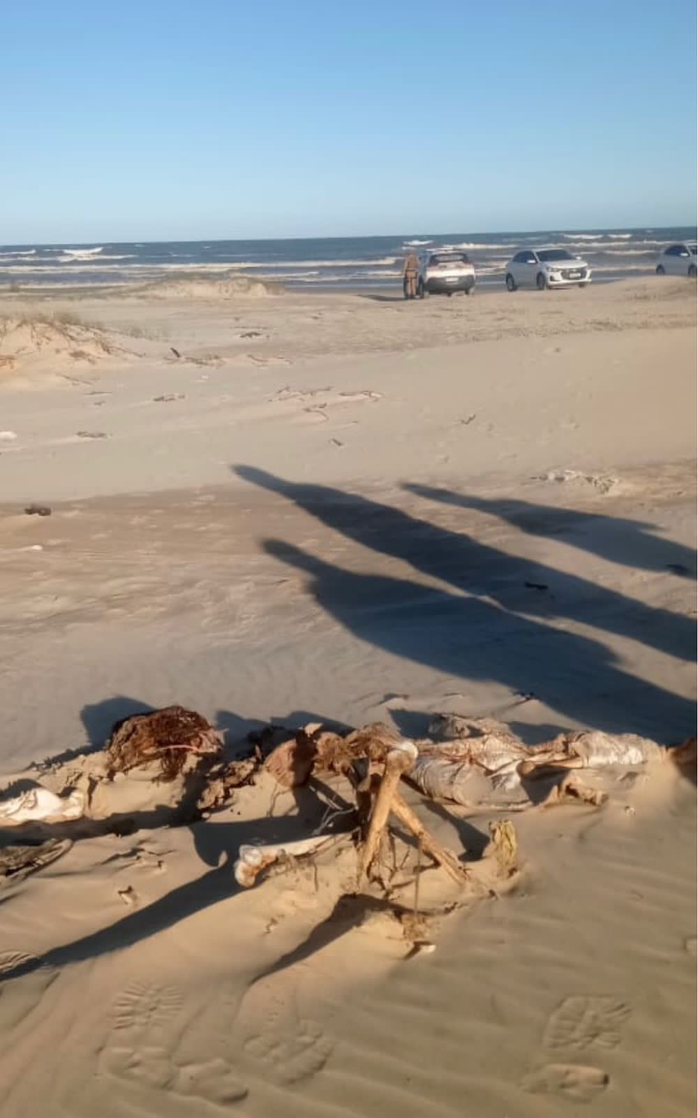 Casal encontra ossada humana na orla da praia em balneário arroio do silva
