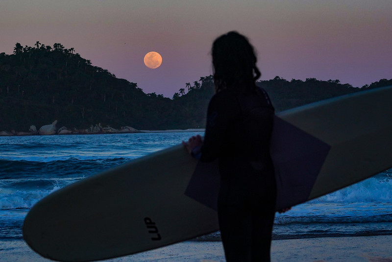 Foto de uma mulher jovem segurando uma prancha de surf. Ela está virada de frente para o mar e de costas para a foto. Ela está no contraluz. Ao fundo aparece uma lua cheia alaranjada e um morro verde. A foto foi tirada ao anoitecer. 