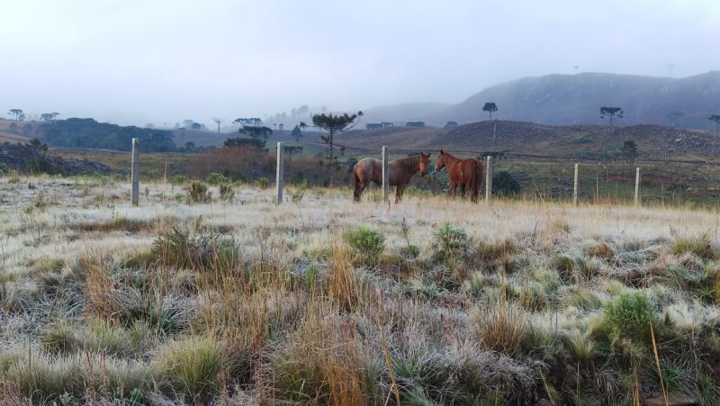 A Defesa Civil avisa haver condi&ccedil;&otilde;es para forma&ccedil;&atilde;o de geadas nas &aacute;reas altas da Serra, onde as temperaturas m&iacute;nimas ficam abaixo de 5&ordm;C. – Foto: Wagner Urbano/Divulga&ccedil;&atilde;o/ND