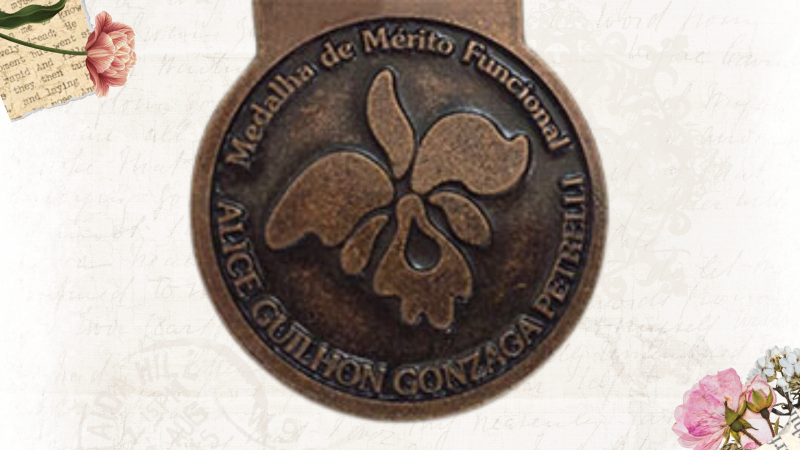 Medalha de M&eacute;rito Funcional – Foto: SCM/Divulga&ccedil;&atilde;o/Colagem ND