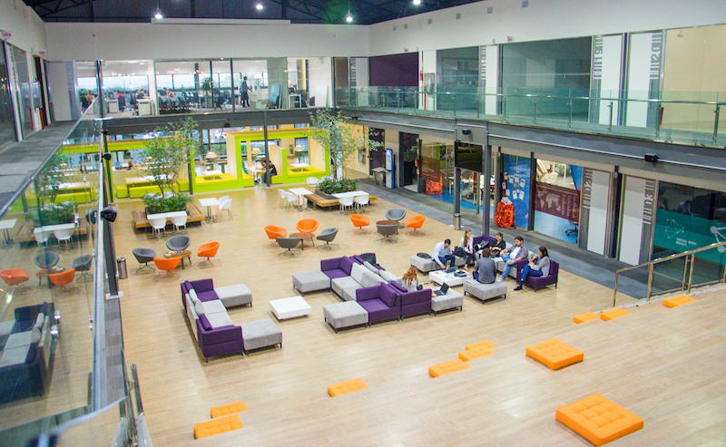 Entre 2021 e 2023, Santa Catarina gerou mais de 16 mil empregos na &aacute;rea da tecnologia – Foto: Acate/Passeio Primavera/Divulga&ccedil;&atilde;o