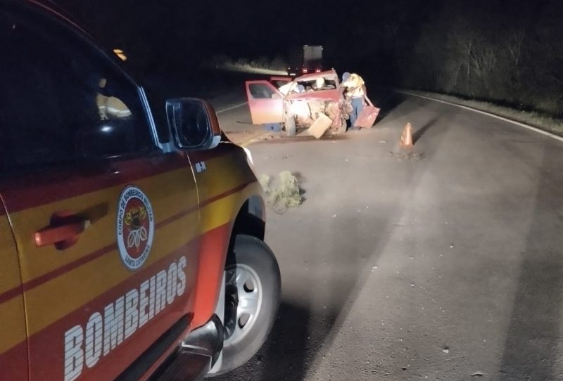 O motorista do carro morreu no local. 