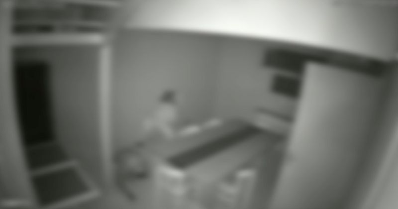 C&acirc;meras registraram a&ccedil;&atilde;o de grupo em com&eacute;rcio – Foto: PCSC/Reprodu&ccedil;&atilde;o/ND