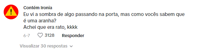 Usu&aacute;rios confundem aracn&iacute;deo com rato – Foto: @fpiromal/TikTok/Reprodu&ccedil;&atilde;o/ND