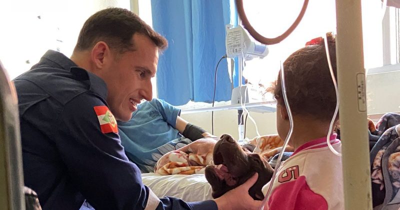 Cão faz parte do projeto patas que curam