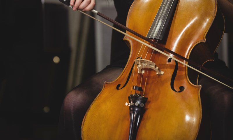 Agenda cultural deste final de semana est&aacute; repleta de atra&ccedil;&otilde;es – Foto: Prefeitura de Joinville/Divulga&ccedil;&atilde;o/ND