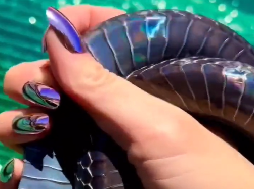 Cobra reflete cores do arco-íris