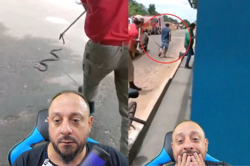 Durante resgate, cobra foi arremessada contra uma pessoa