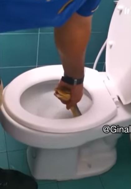 A serpente estava saindo do vaso sanitário quando foi encontrada pela mulher 