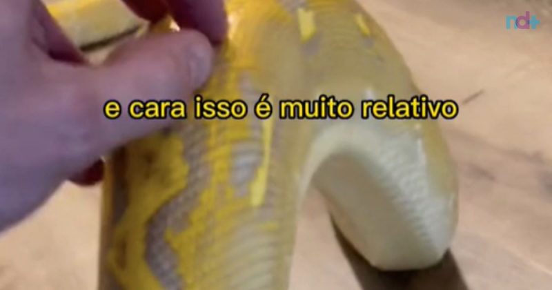 Pítons sentem carinho?