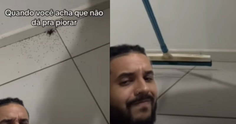 Quem gravava o vídeo achou que estava tudo bem esmagar a aranha, porém, o animal ainda tinha uma carta na manga