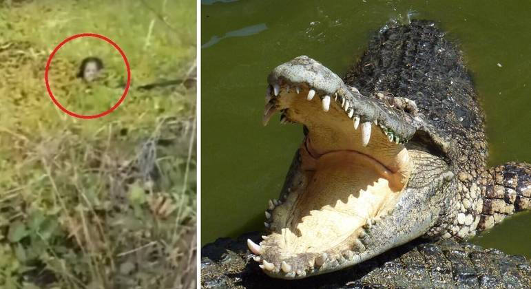 A woman fought a crocodile for 90 minutes – Photo: R7/Reproduction/ND