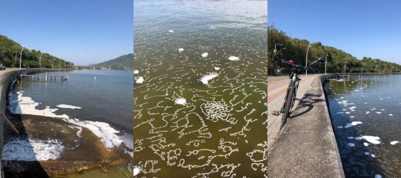 Lagoa continua vivendo consequências por conta do esgoto 