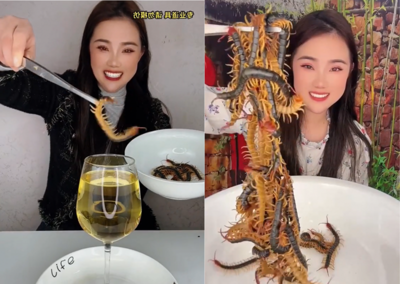 Mulher viraliza por comer lacraias de fogo vivas