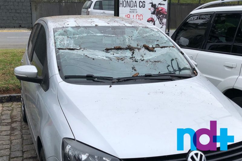 Para-brisa de ve&iacute;culo ficou danificado ap&oacute;s ser atingido por cobertura do posto de gasolina – Foto: M&aacute;rcio Falc&atilde;o/ND