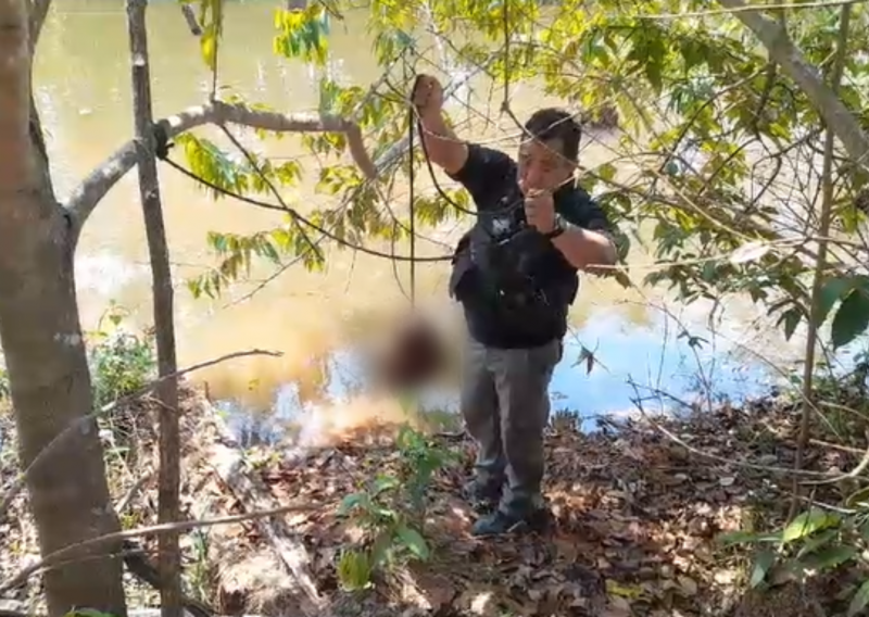 Pol&iacute;cia encontrou cabe&ccedil;a de on&ccedil;a e ossos do animal abatido – Foto: Pol&iacute;cia Civil do Mato Grosso/Reprodu&ccedil;&atilde;o/ND