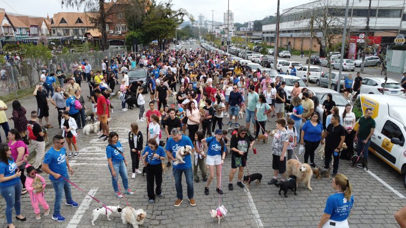 Cãominhada aconteceu neste domingo, no Parque Vila Germânica 
