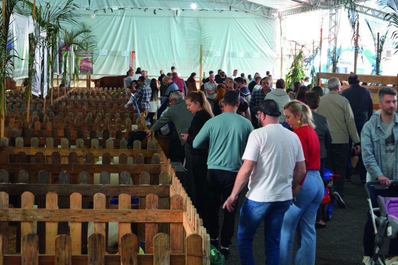 Festa do Borrego chega a sua 12ª edição em Pomerode; confira a programação 